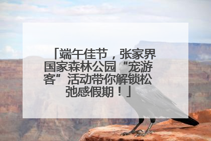 端午佳节，张家界国家森林公园“宠游客”活动带你解锁松弛感假期！