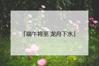 端午将至 龙舟下水