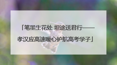笔墨生花处 坦途送君行——孝汉应高速暖心护航高考学子