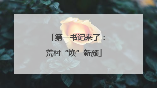 第一书记来了：荒村“焕”新颜
