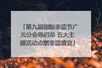 第九届国际非遗节广元分会场启幕 五大主题活动点燃非遗盛宴