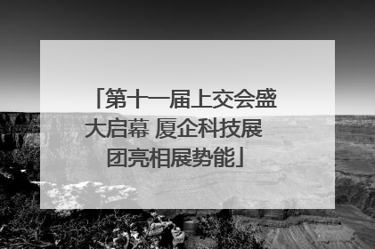 第十一届上交会盛大启幕 厦企科技展团亮相展势能
