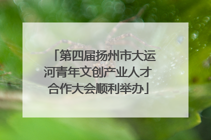 第四届扬州市大运河青年文创产业人才合作大会顺利举办