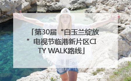 第30届“白玉兰绽放”电视节临港新片区CITY WALK路线
