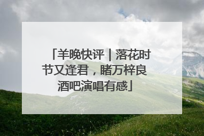 羊晚快评｜落花时节又逢君，睹万梓良酒吧演唱有感