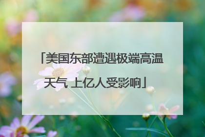 美国东部遭遇极端高温天气 上亿人受影响