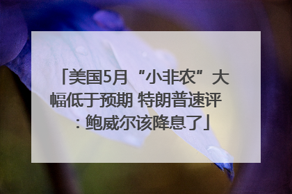 美国5月“小非农”大幅低于预期 特朗普速评：鲍威尔该降息了