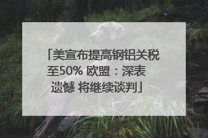 美宣布提高钢铝关税至50% 欧盟：深表遗憾 将继续谈判