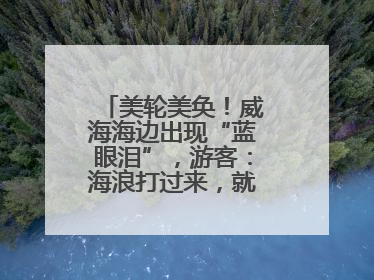 美轮美奂！威海海边出现“蓝眼泪”，游客：海浪打过来，就像星河一样