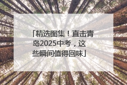 精选图集！直击青岛2025中考，这些瞬间值得回味