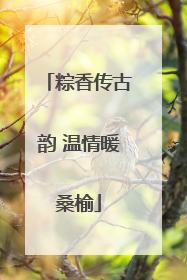 粽香传古韵 温情暖桑榆