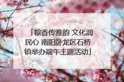 粽香传雅韵 文化润民心 南阳卧龙区石桥镇举办端午主题活动