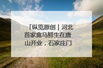 纵览原创｜河北首家盒马鲜生在唐山开业，石家庄门店预计8月开业