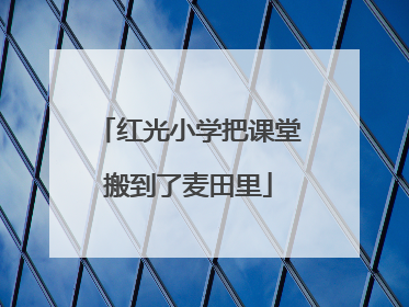 红光小学把课堂搬到了麦田里