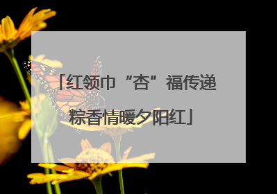 红领巾“杏”福传递 粽香情暖夕阳红