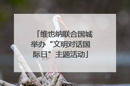 维也纳联合国城举办“文明对话国际日”主题活动
