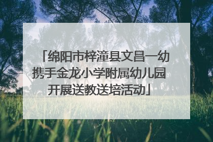 绵阳市梓潼县文昌一幼携手金龙小学附属幼儿园开展送教送培活动