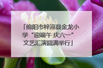 绵阳市梓潼县金龙小学“迎端午 庆六一”文艺汇演圆满举行