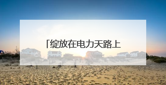 绽放在电力天路上的“雪域格桑花”