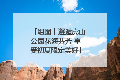 组图丨邂逅虎山公园花海芬芳 享受初夏限定美好