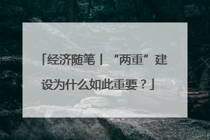 经济随笔丨“两重”建设为什么如此重要？