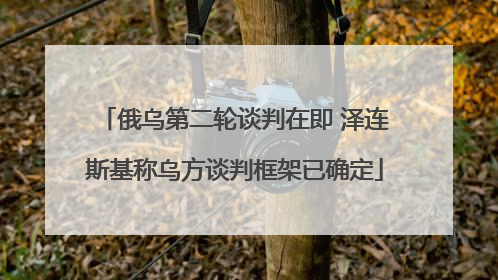 俄乌第二轮谈判在即 泽连斯基称乌方谈判框架已确定