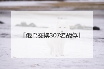 俄乌交换307名战俘