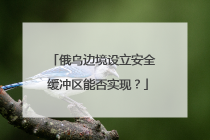 俄乌边境设立安全缓冲区能否实现？