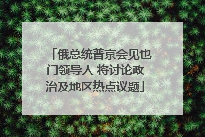 俄总统普京会见也门领导人 将讨论政治及地区热点议题