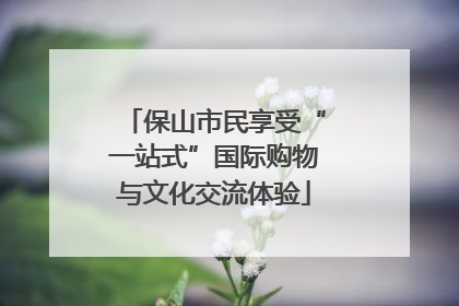 保山市民享受“一站式”国际购物与文化交流体验