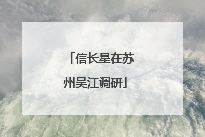 信长星在苏州吴江调研