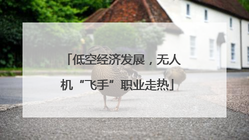 低空经济发展，无人机“飞手”职业走热