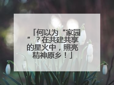 何以为“家园”？在共建共享的星火中，照亮精神原乡！