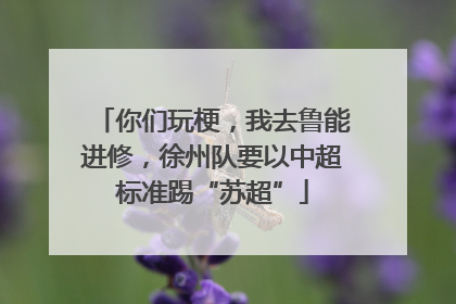 你们玩梗，我去鲁能进修，徐州队要以中超标准踢“苏超”