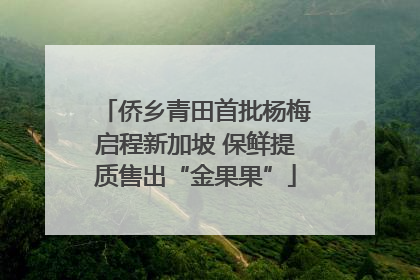 侨乡青田首批杨梅启程新加坡 保鲜提质售出“金果果”
