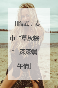 临武：麦市“草灰粽” 深深端午情