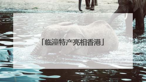 临潼特产亮相香港