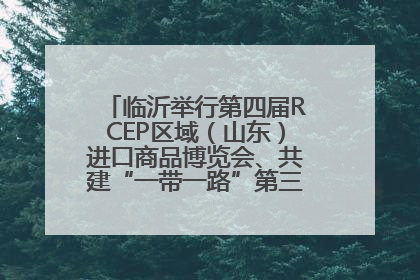 临沂举行第四届RCEP区域（山东）进口商品博览会、共建“一带一路”第三届临沂商城国际采购商大会新闻发布会