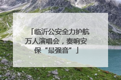 临沂公安全力护航万人演唱会，奏响安保“最强音”