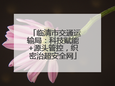 临清市交通运输局：科技赋能+源头管控，织密治超安全网