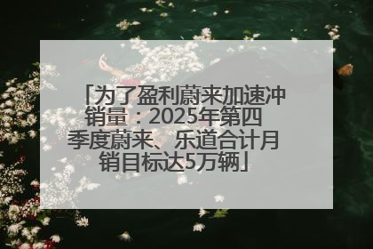 为了盈利蔚来加速冲销量：2025年第四季度蔚来、乐道合计月销目标达5万辆