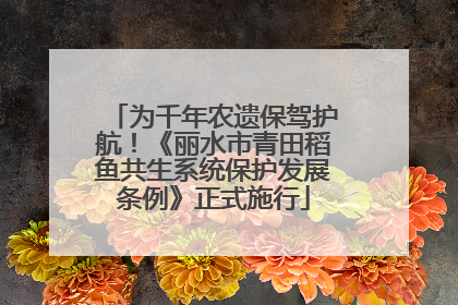 为千年农遗保驾护航！《丽水市青田稻鱼共生系统保护发展条例》正式施行