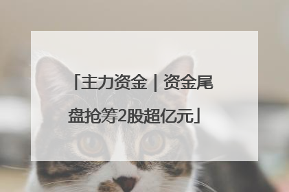 主力资金｜资金尾盘抢筹2股超亿元