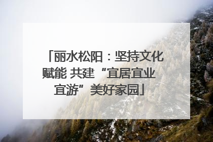 丽水松阳：坚持文化赋能 共建“宜居宜业宜游”美好家园