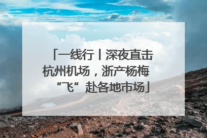 一线行丨深夜直击杭州机场，浙产杨梅“飞”赴各地市场