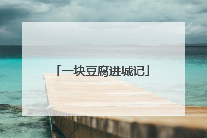 一块豆腐进城记