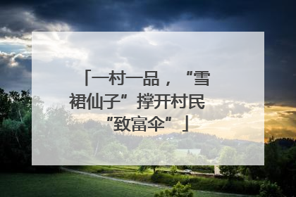 一村一品，“雪裙仙子”撑开村民“致富伞”