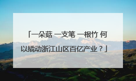 一朵菇 一支笔 一根竹 何以撬动浙江山区百亿产业？