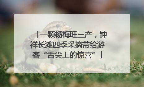 一颗杨梅旺三产，钟祥长滩四季采摘带给游客“舌尖上的惊喜”
