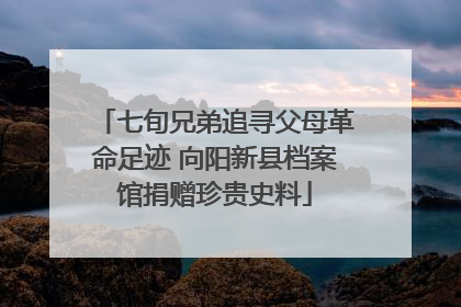 七旬兄弟追寻父母革命足迹 向阳新县档案馆捐赠珍贵史料